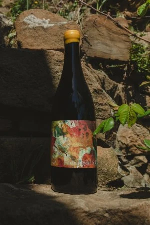 Amante del sole
