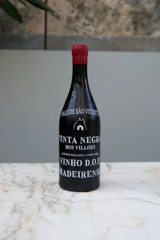 Tinta Negra Vale São Vicente