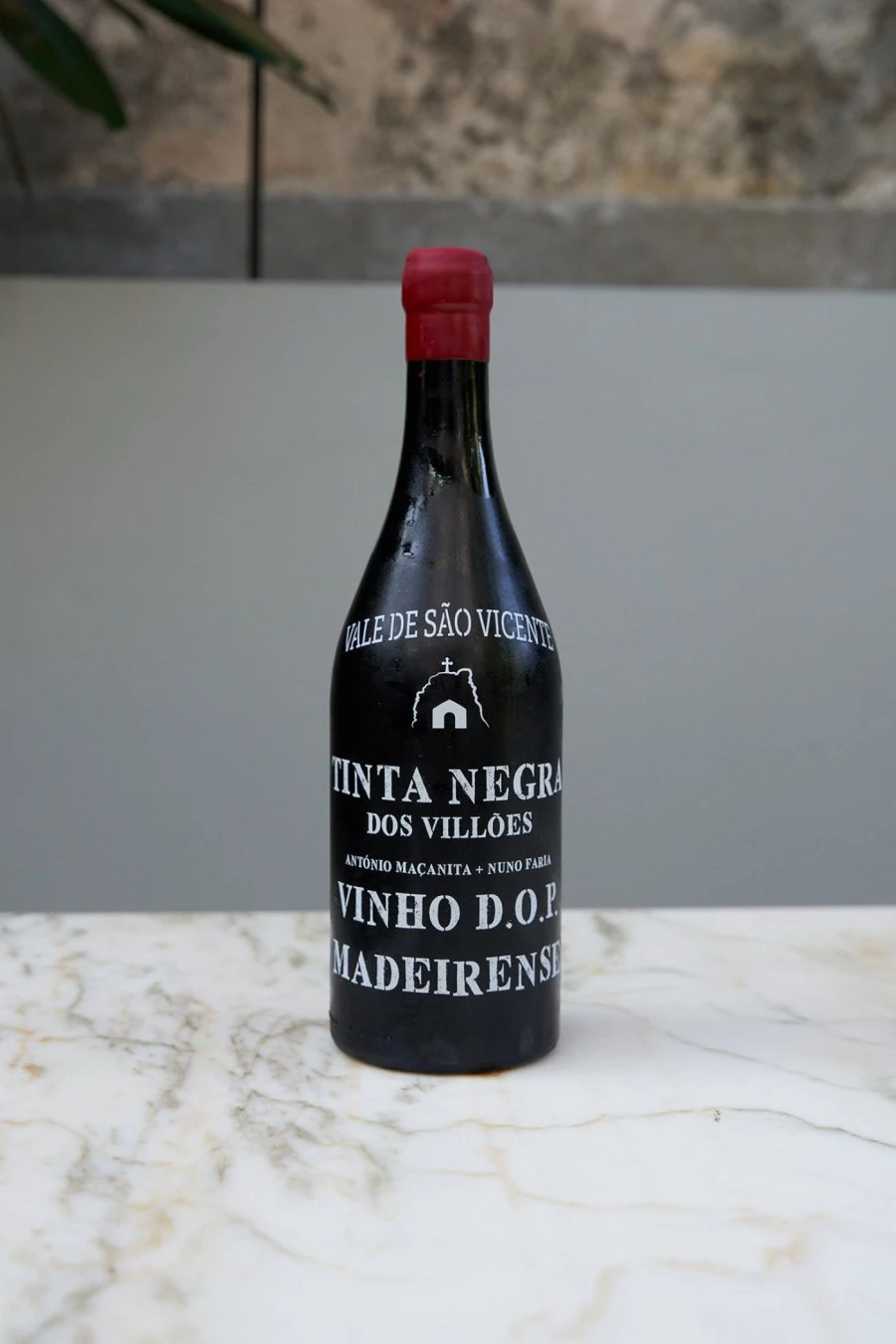 Companhia de Vinhos dos Profetas e dos Villões - Tinta Negra Vale São Vicente