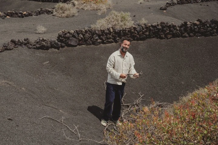 Bodegas Timanfaya - Lanzarote - Vigne