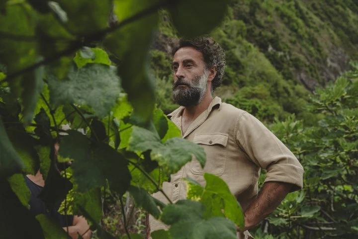 Companhia de Vinhos dos Profetas e dos Villões - Madeira - Vigne