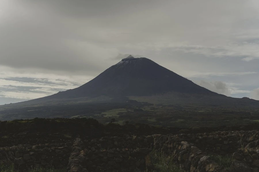 Arinto dos Azores Solera - Azores Wine Company - Azores