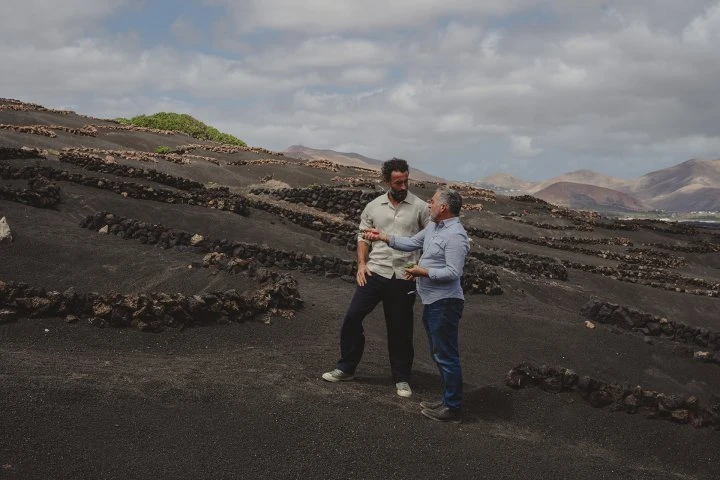 Bodegas Timanfaya - Lanzarote - Vigne