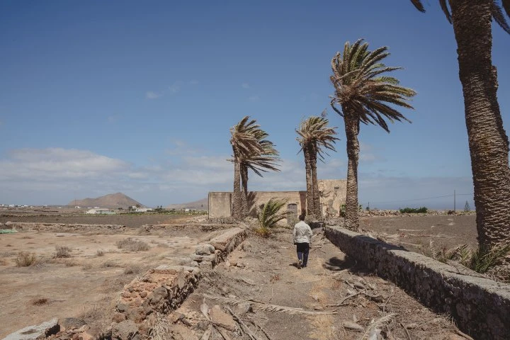 Bodegas Timanfaya - Lanzarote