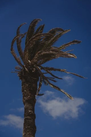 Bodegas Timanfaya - Lanzarote