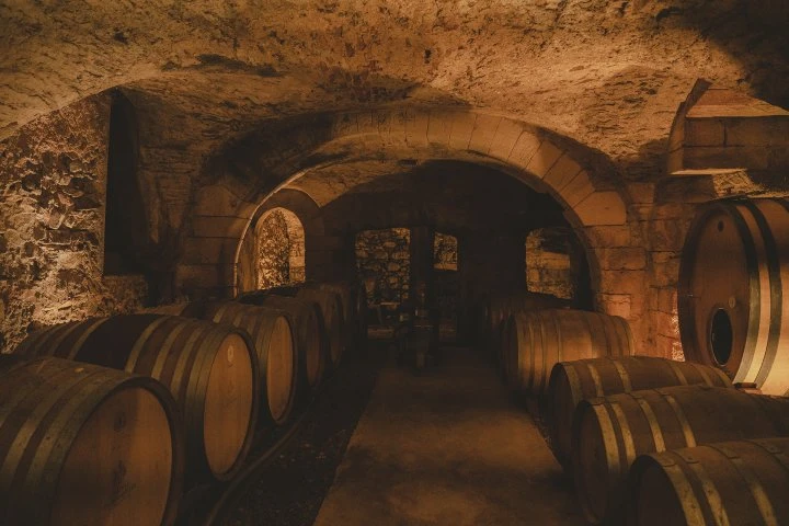 Château de Bormettes - Provenza - Cantina - Botti