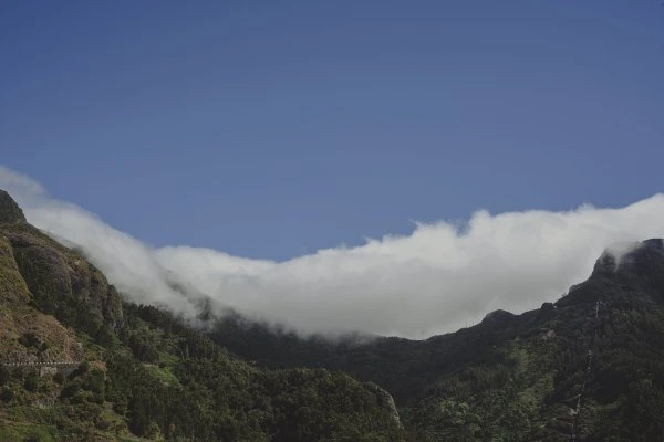 Companhia de Vinhos dos Profetas e dos Villões - Madeira