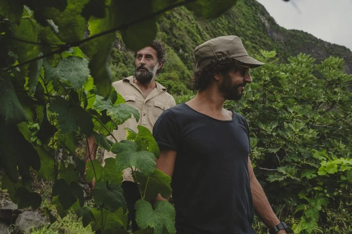 Companhia de Vinhos dos Profetas e dos Villões - Madeira - Vigne