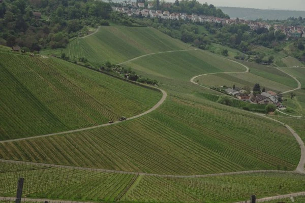 Weingut Schnaitmann - Germania - Vigna