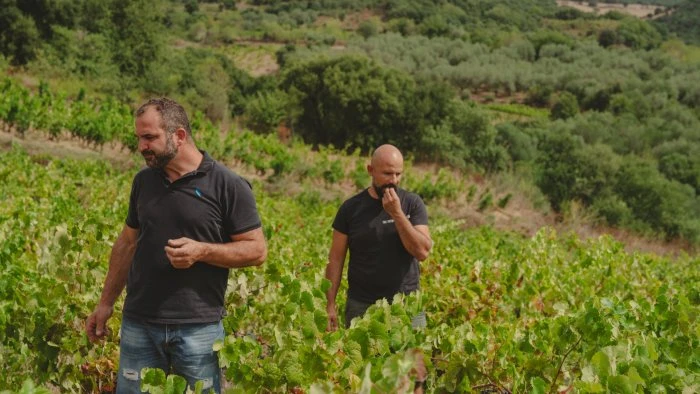 Cantine Neoneli