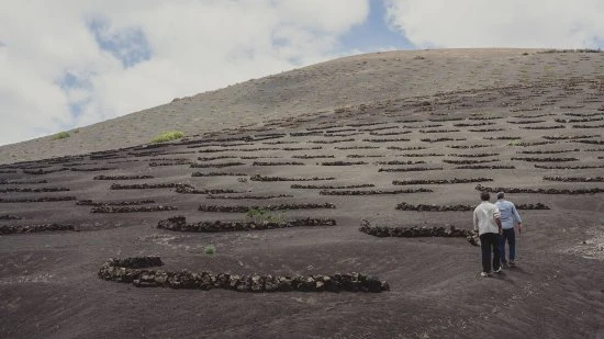 Bodegas Timanfaya