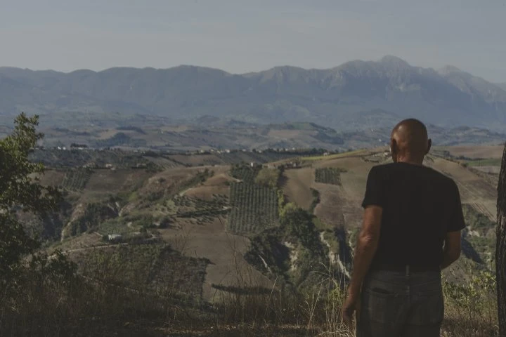 Fattoria dell'Orso - Abruzzo - Vigne