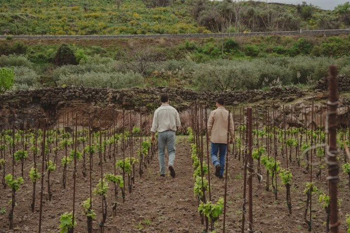 I vini di Luca - Sicilia - Etna - Vigne - Gunter - Luca