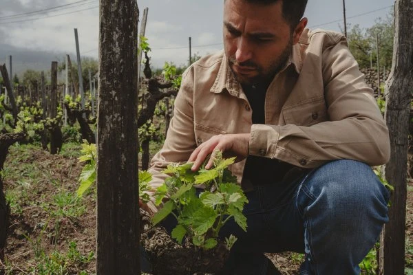 I vini di Luca - Sicilia - Etna - Vigne - Luca