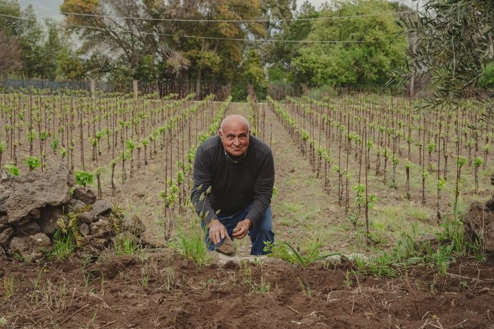 I vini di Luca - Sicilia - Etna - Vigne - Salvatore Zumbo 