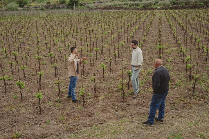 I vini di Luca - Sicilia - Etna - Vineyards - Salvatore Zumbo - Gunter