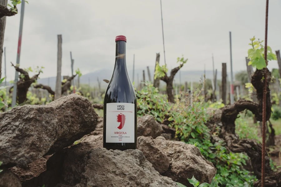 I vini di Luca - Sicilia - Etna - Virgola Rosso