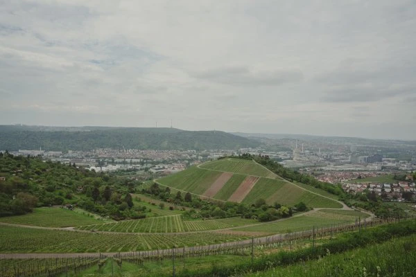 Weingut Schnaitmann - Germania - Vigna