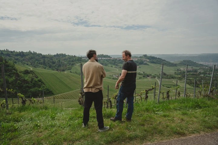 Weingut Schnaitmann - Germania - Vigna