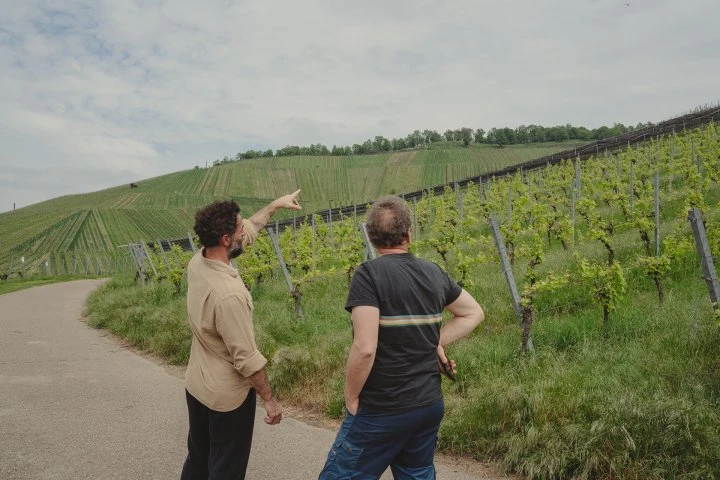 Weingut Schnaitmann - Germania - Vigna